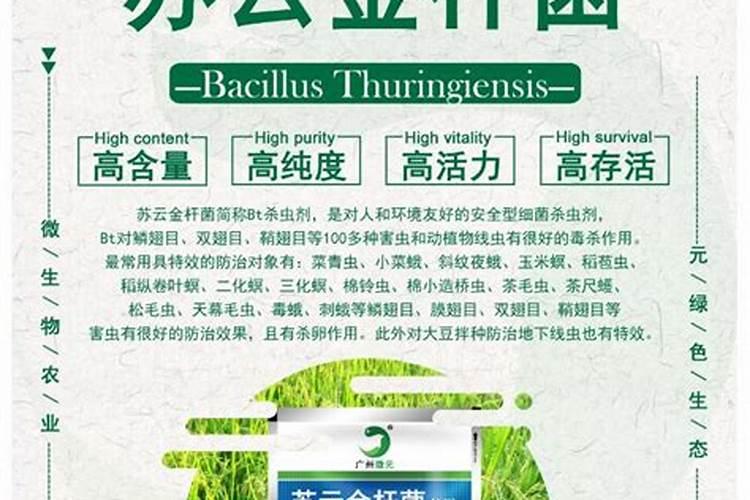 果树怎么施微量元素肥？果树微量元素肥使用注意事项有哪些？