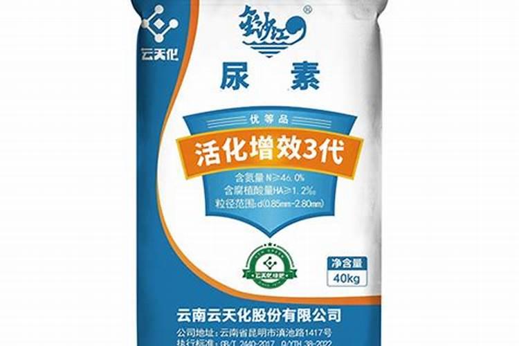 苏子叶附:紫苏子