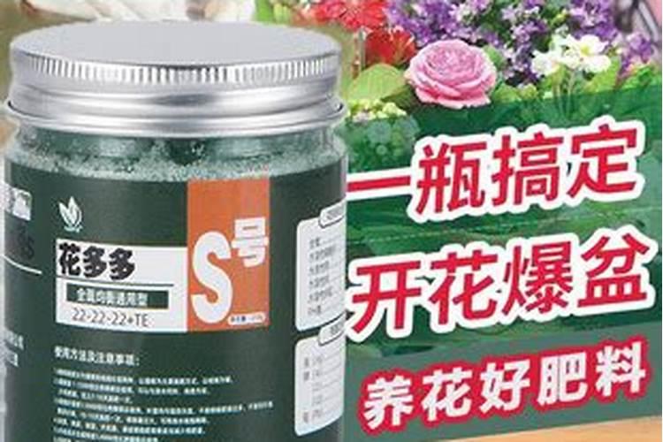 花卉叶面肥使用方法 叶面肥喷叶子正面还是背面