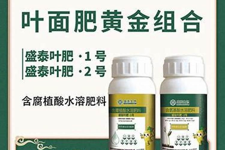 月季开花用什么肥