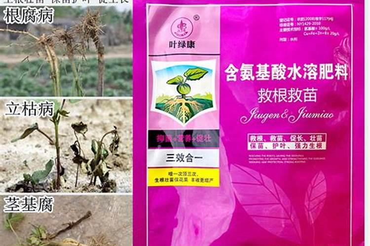 安全帽低温预处理方法检测方法
