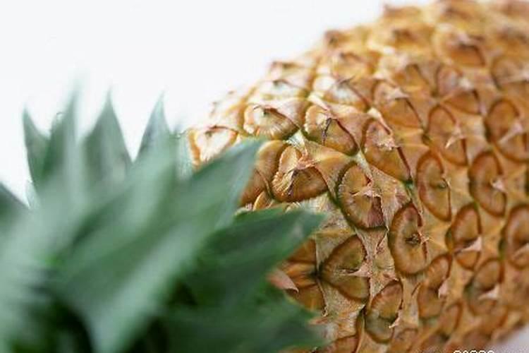 碳酶海藻鱼蛋白什么时候使用最好