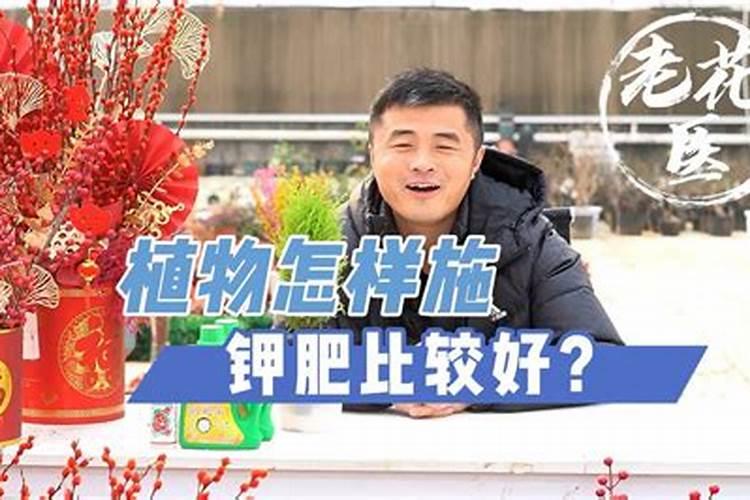 硫酸钾的用途和使用方法