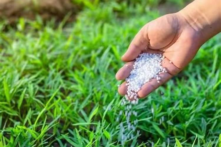 涨价预警!氮、磷、钾肥都涨价了,涨多少？鉴别假化肥的4个方法