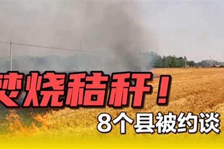 芸苔素使用技巧