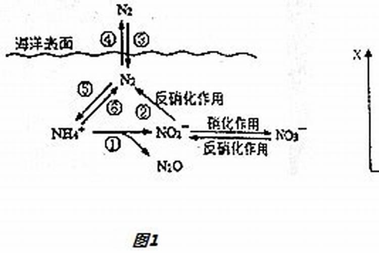 氮肥是什么