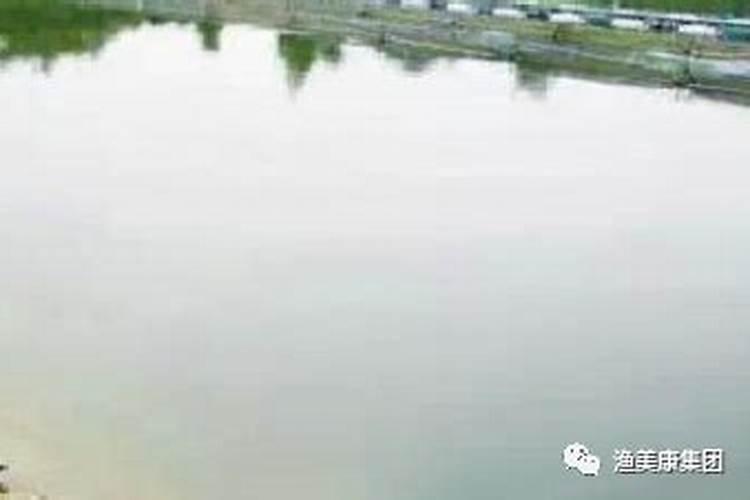 复合肥兑水比例