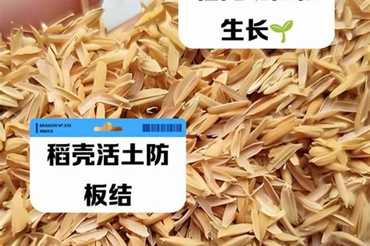 稻壳灰是什么