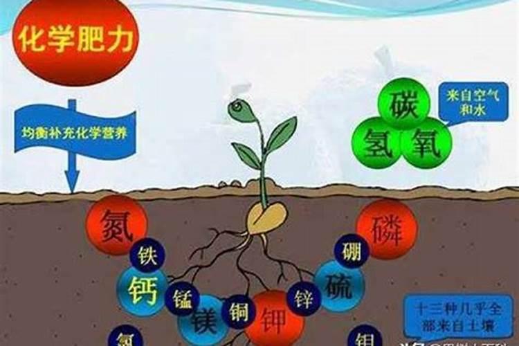 氮肥是什么肥料