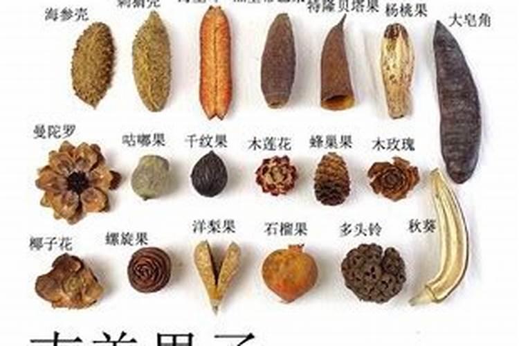 缓释肥和控释肥的区别