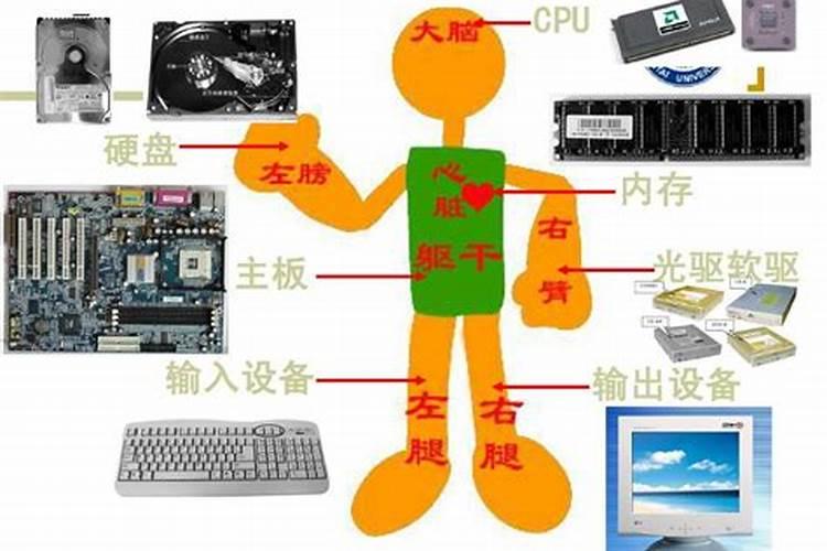 中量元素包含哪些
