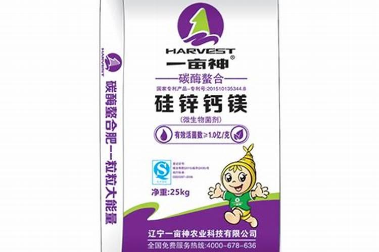 锌肥对黄瓜的作用