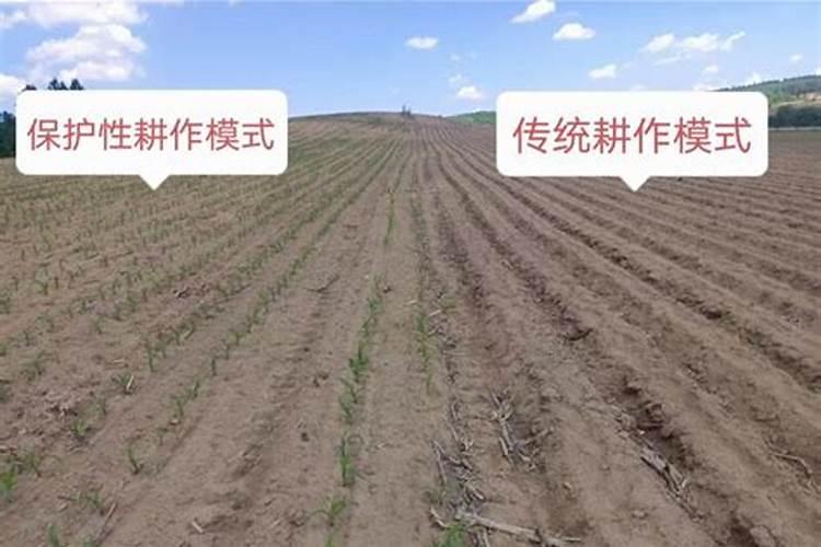 免耕法颁布的原因