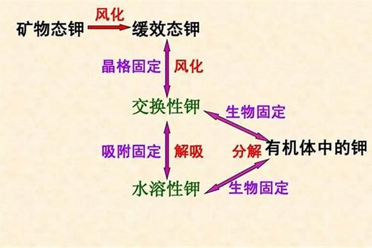 樱桃掉果是什么原因