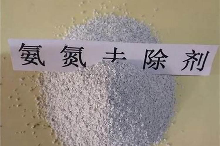 直播稻二叶一心期如何做好水浆管理 水稻应该怎么养殖