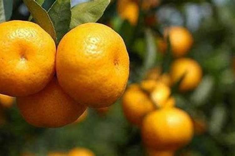高温天水稻秧苗施多效唑己产生药害请问怎么解除？