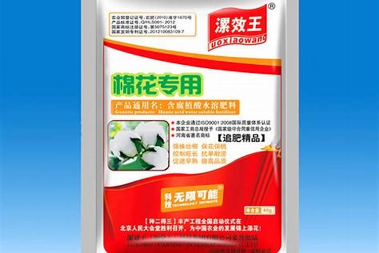 老师们:看看这葵花是什么病？就像刀割一样、已经有很多这样了!急!急...
