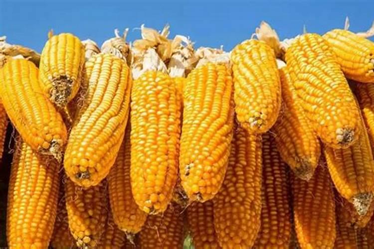 红四方玉米专用复合肥多少钱一吨？