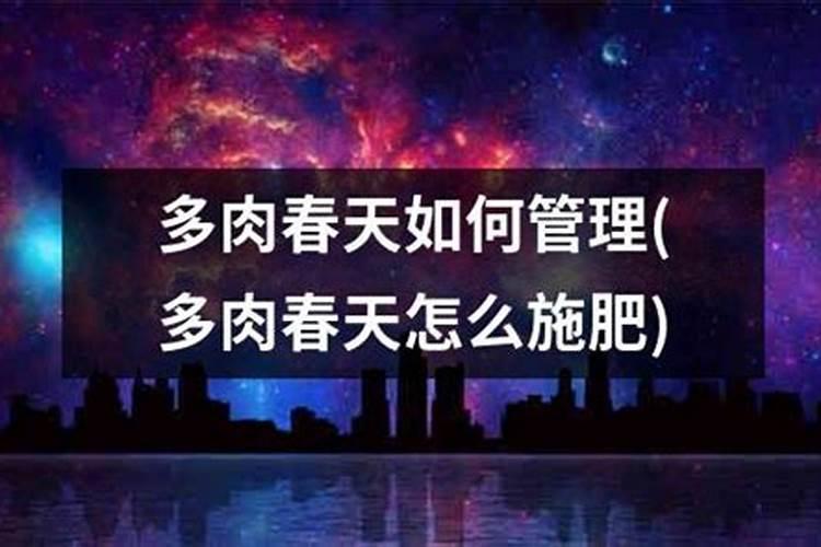 金钱树换土怎么换 换盆土用什么土(土壤配方)