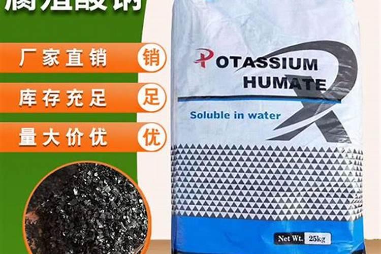 办公室绿植租赁哪家好