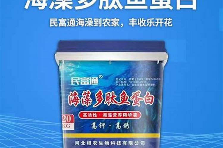 海南柚子什么时候成熟季节
