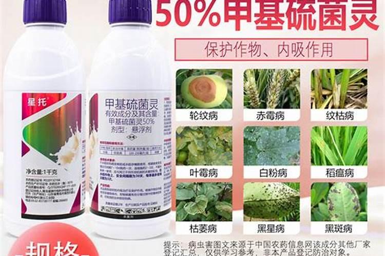原神急冻树怎么打急冻树无伤打法攻略