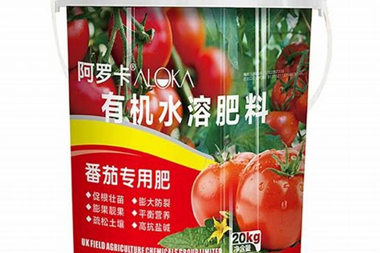 番茄用什么肥料好