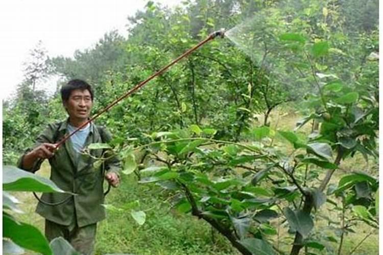 如何合理施用磷酸二铵