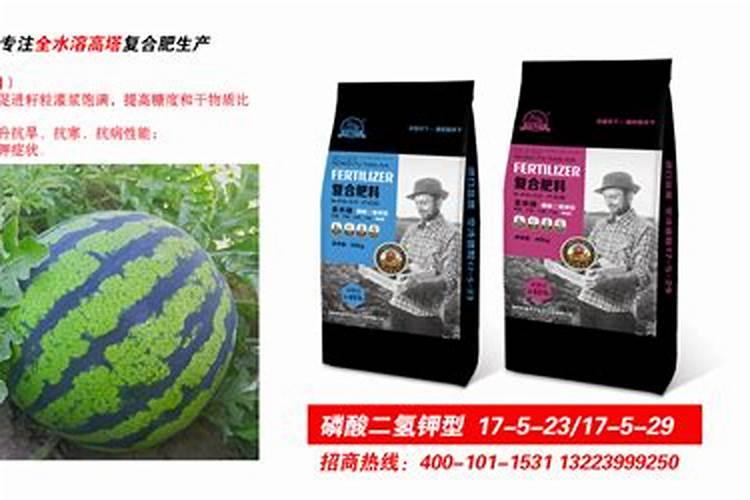西瓜膨大期用什么肥料