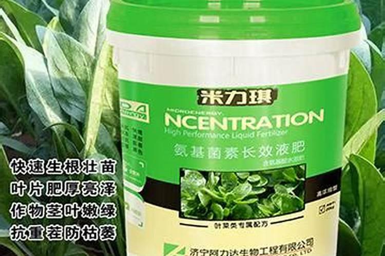 春季葡萄树施什么肥好