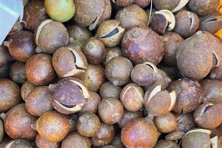 蓝莓开花结果期施什么肥好