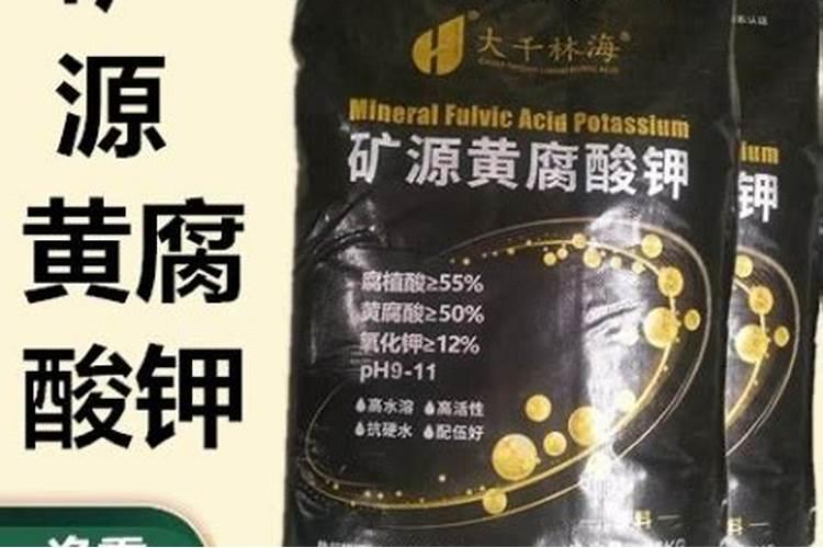 白兰花施什么肥料最好