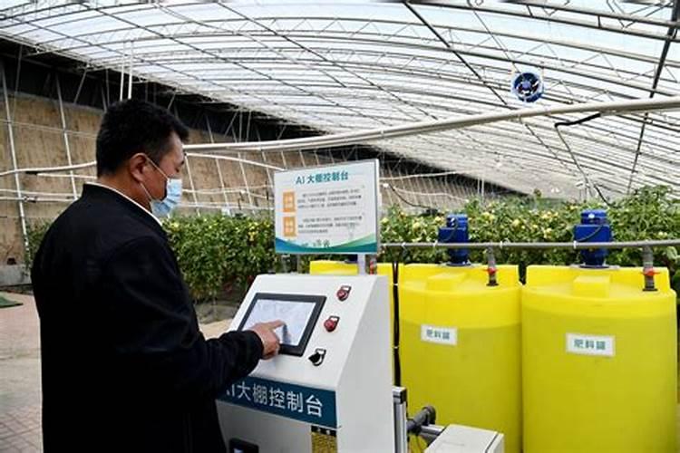巧棵力水溶肥里面钾的成分高吗,膨果效果怎么样？