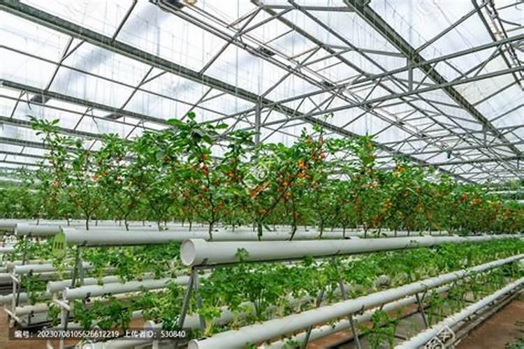 国内比较好的水溶肥品牌有哪几个