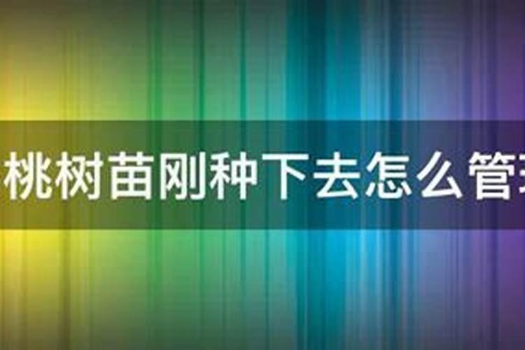 钙肥冲施滴灌好还是叶面喷施好？