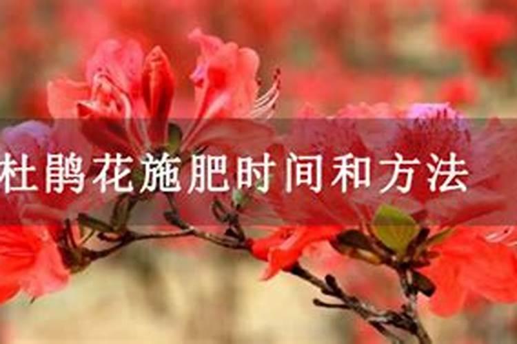 中量元素水溶肥和磷酸二铵可以混用吗有什么危害