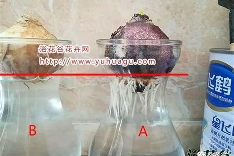 有机肥发酵方法