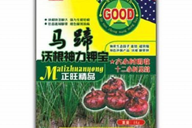 马蹄种植需要什么肥料