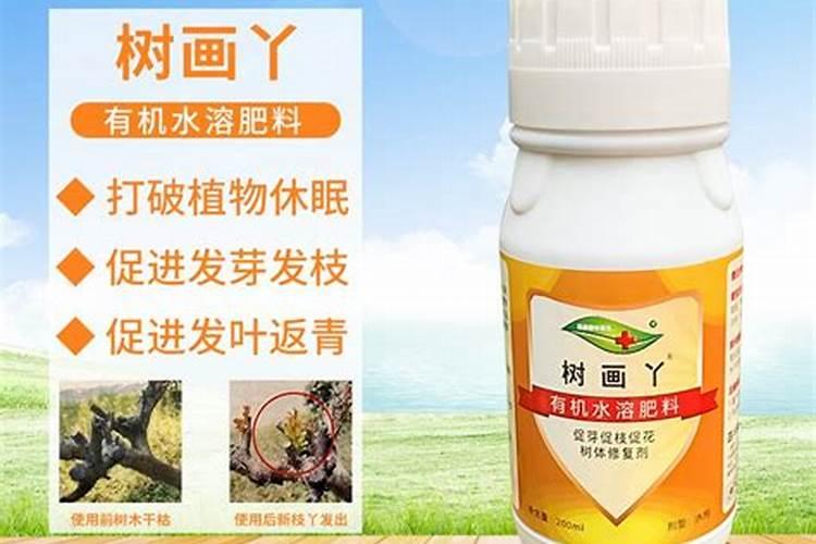 生根最快的肥料