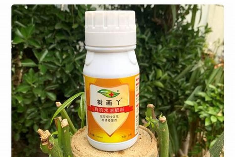 什么肥料对兰花发芽生根开花最好