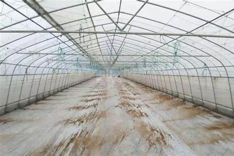 水溶肥坑太深,这些水溶肥别再买了···