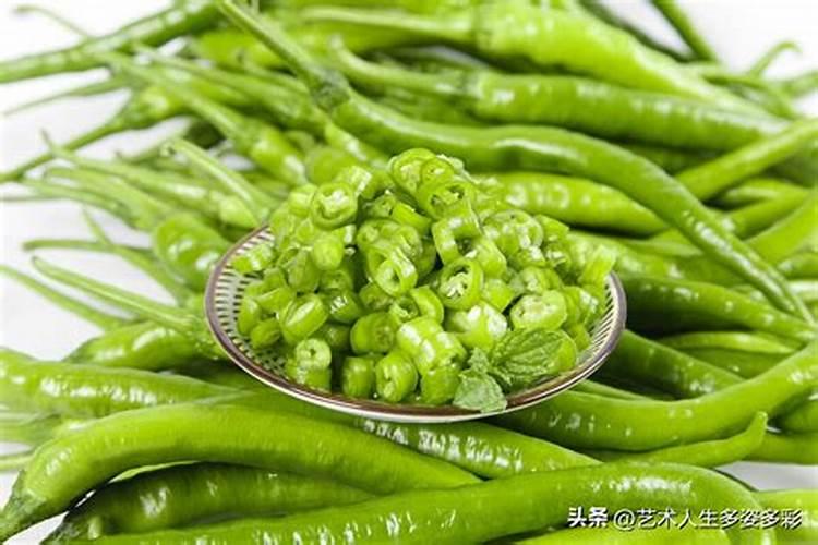 现在的季节适合种什么蔬菜？