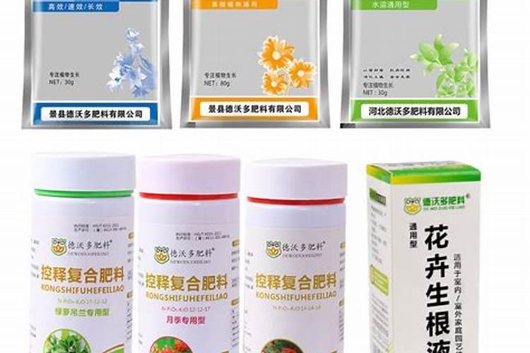 康乃馨花苞不开就干了