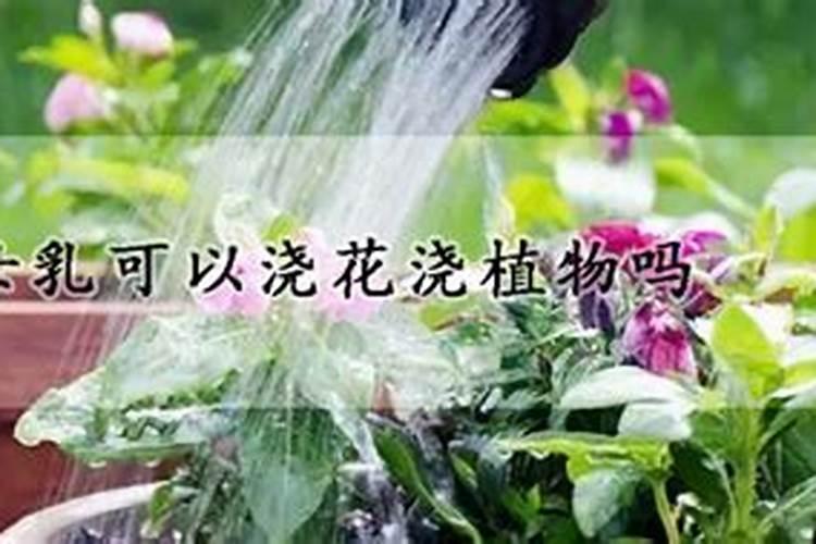 广东化肥品牌 广东化肥厂家 广东有哪些化肥品牌【品牌库】