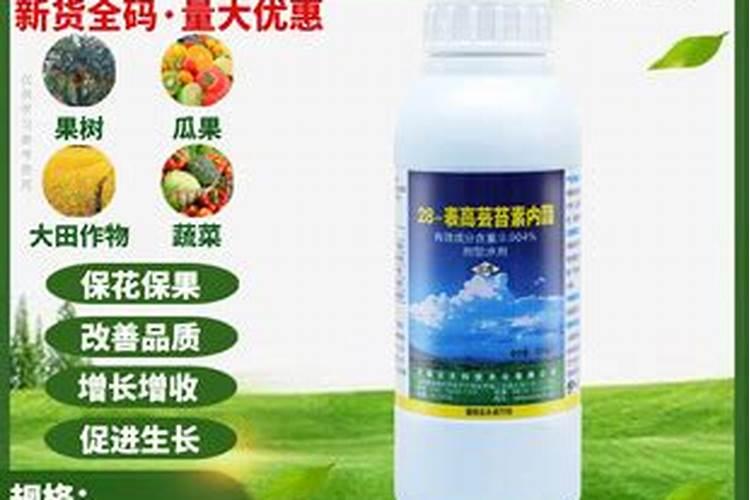 五莲森之林海藻有限公司怎么样？