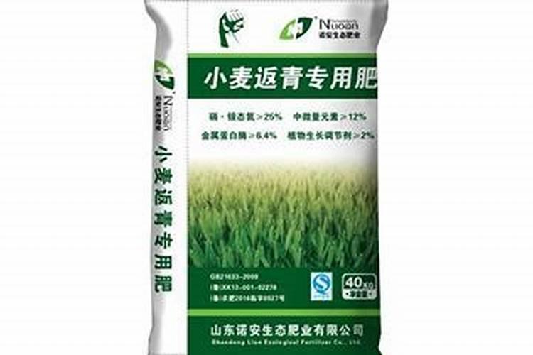 牡丹花喂什么肥开花更鲜艳