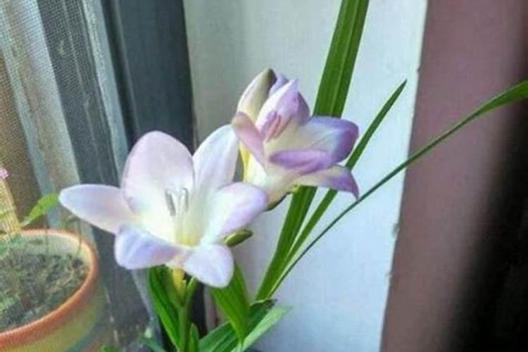 不懂茶就别乱喝了,这些茶叶功效和作用你都知道吗？