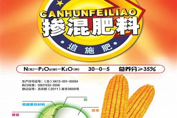 脆蜜金桔怎么保花保果