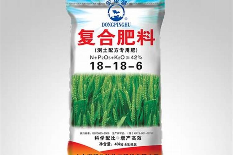 火龙果幼苗期怎样管理施肥 火龙果养殖方法