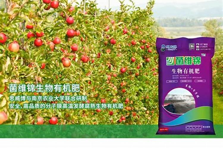 山东蒜苔什么时候收获 在几月份收获